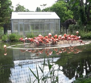 Zoo Heidelberg