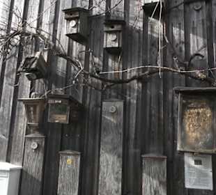 Barfußpfad Firstwald