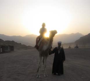 Kamelsafari bei Sonnenuntergang