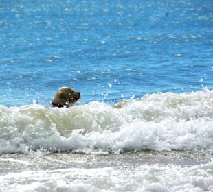 Ende September 2010 Inspirationen