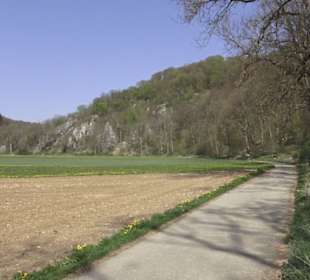 Waldlehrpfad an der Lauter