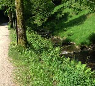 Wasserfälle Allerheiligen