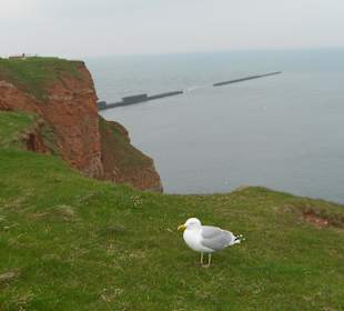 Spaziergang auf Helgoland