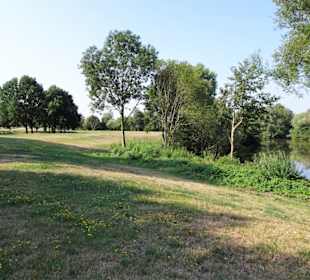 Tour durch den sommerlichen Park Links der Weser