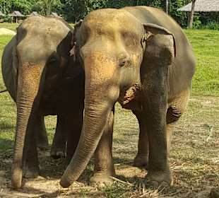 Khao Sok Nationalpark
