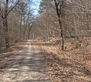 Geologischer Lehrpfad Kirnbachtal