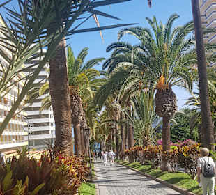 Wandern Puerto de la Cruz