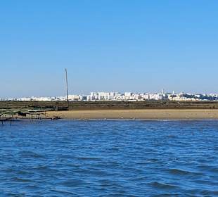 Bootstour Ria Formosa