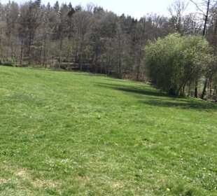 Sport- und Freizeitpark Markwasen