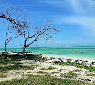 Makunduchi Strand