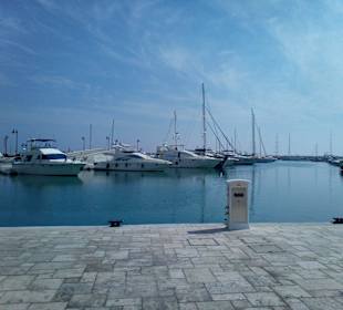 Marina w Limassol