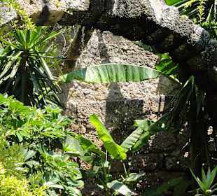 Socratous Garden 