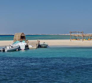 Utopia Schnorchelausflug