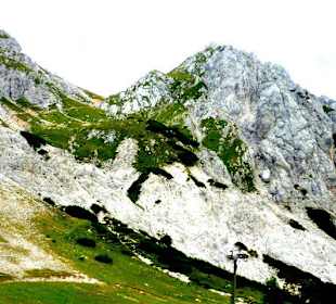 Gartnerkopfel