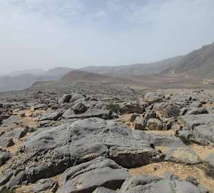 Safari nach Jebel Harim 