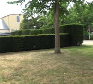 Alte Turnhalle