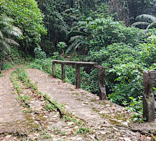 Parque Natural Obô do Príncipe