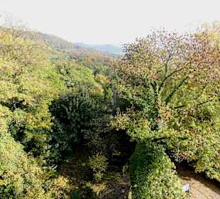Blick vom Georgsturm über die Wälder der Umgebung