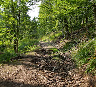 Parcul Natural Apuseni