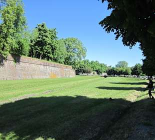 Stadtmauer Lucca
