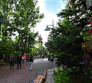 Shannon Falls Provincial Park