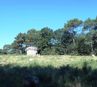 Hinkelstein-Feld Carnac