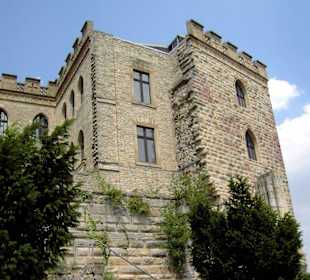 Hambacher Schloss (4)