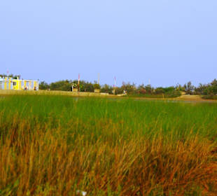 Naturschutzgebiet dei Pini