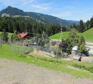 Alpenwildpark 