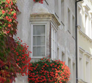 Blumenschmuck am Erker