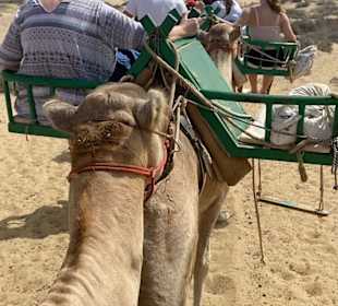 Dünen von Maspalomas