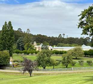 Port Arthur