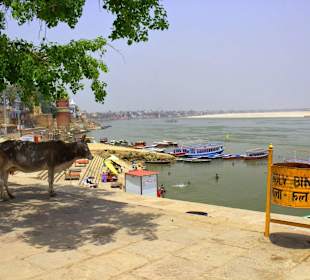 Asi Ghat