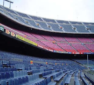 Desde abajo gol sur