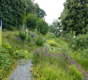 Duftende Kräuter