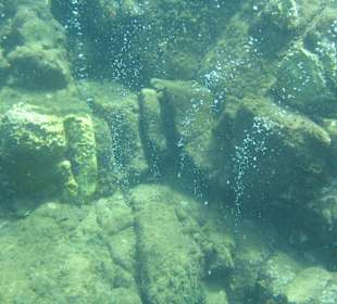 Unterwasserwelt - Champagner-Riff / Dominica