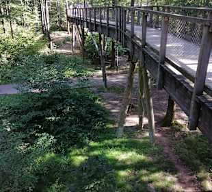 Baumwipfelpfad