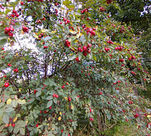 Wandern Warmensteinach