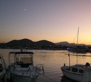 Hafen von Alcudia