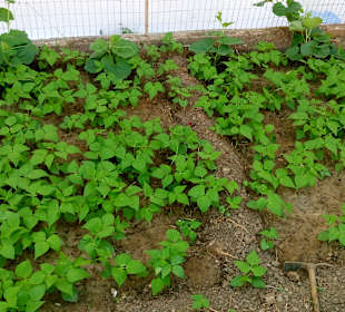 Hinterland von Naxos