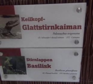 Südamerika Bereich - Jaguarhaus