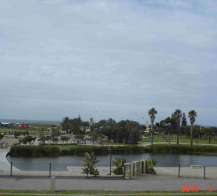 Port Elizabeth