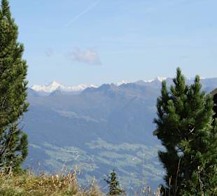 Auf dem Rofan, Blick Richtung Tuxer Gletscher