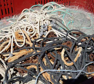 Rundgang durch den Yachthafen von Bandol