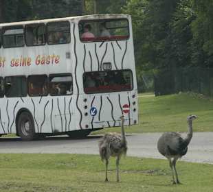Serengeti Park Hodenhagen