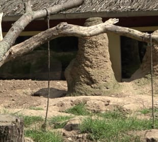 Zoo Heidelberg