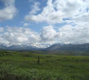 Denali National Park
