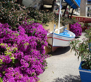 Impressionen aus dem Hafen von Cassis