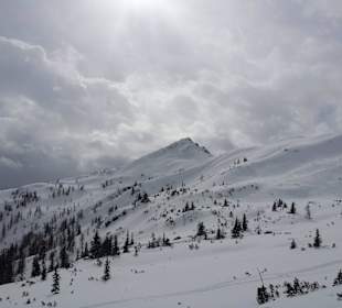 Skipiste
