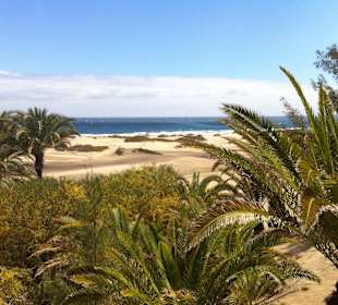 Dünen von Maspalomas
